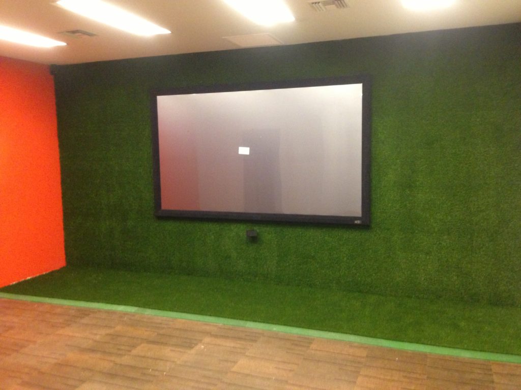 Projector Screen on grass wall :)